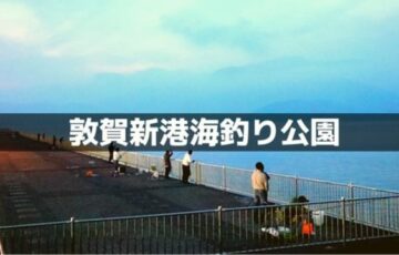 敦賀新港海釣り公園