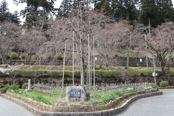 花筺公園2019年