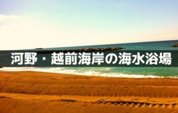 河野・越前海岸の海水浴場