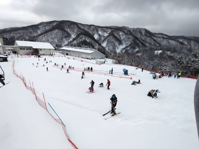 キッズパーク情報