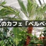 鯖江のカフェ「ベルベール」