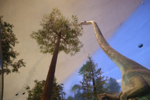 恐竜博物館の恐竜