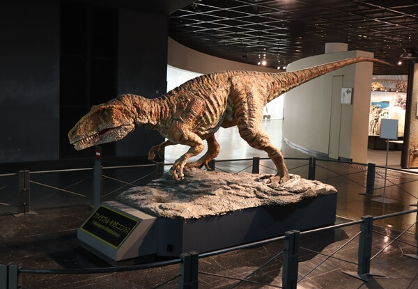 恐竜博物館の動く恐竜