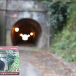 トンネルカード