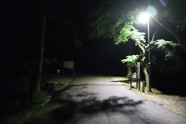 夜間の道