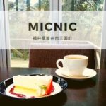 Micnic