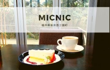 Micnic