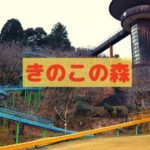 きのこの森