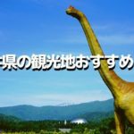 福井県の観光地おすすめ10選