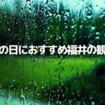 雨の日でも楽しめる福井