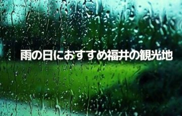 雨の日でも楽しめる福井