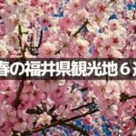 福井県・春のおすすめ観光地６選