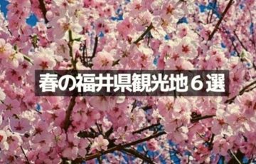 福井県・春のおすすめ観光地６選