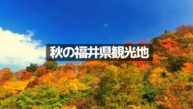 【福井旅行】秋のおすすめ観光地8選