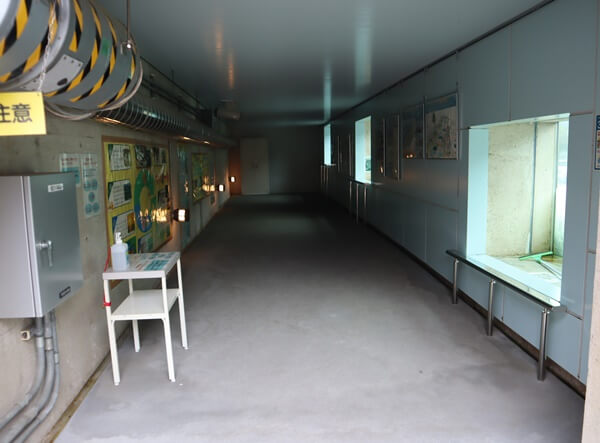 魚道観察室