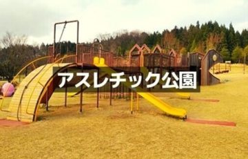 福井県のアスレチック公園