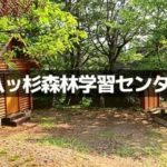 八ツ杉千年の森