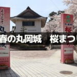 丸岡城の桜まつり
