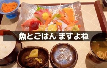 魚とごはん　ますよね