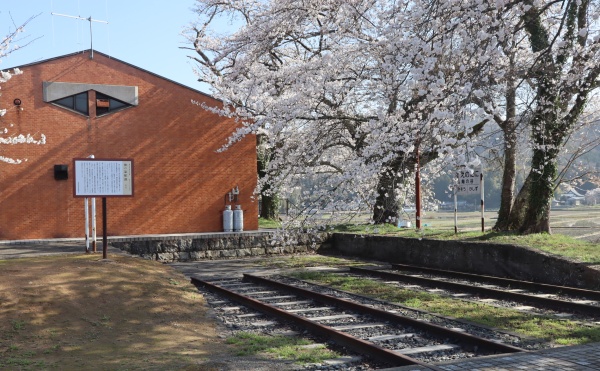 陶の谷駅跡の桜