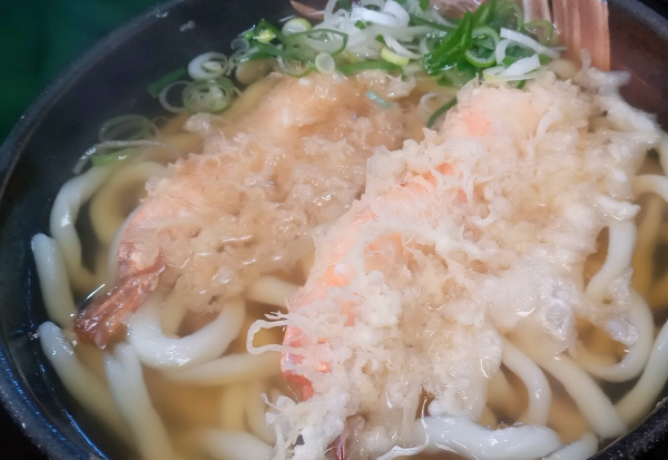 天ぷらうどん（エビ天2匹入り）