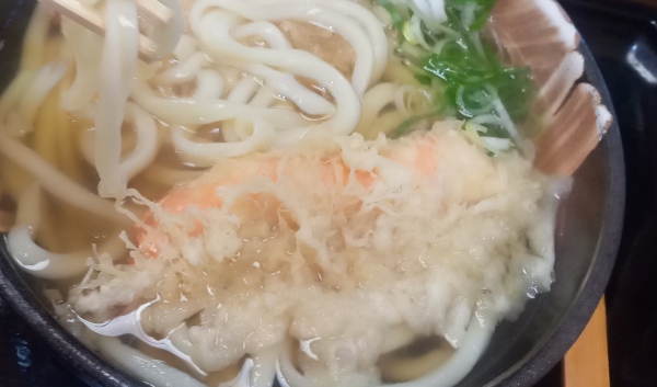 新富のうどん