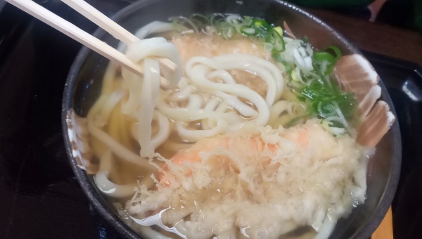 新富のうどん