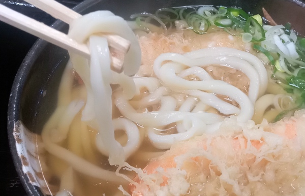 福井の新富のうどん