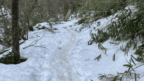 文殊山の冬の登山道