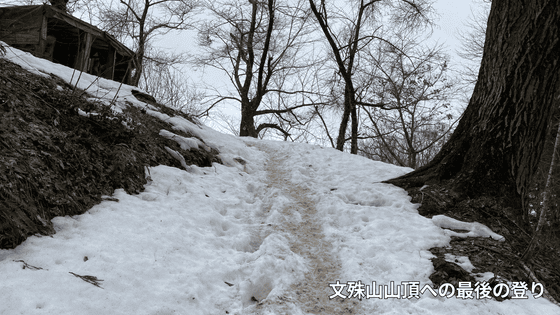 二上コースの登り