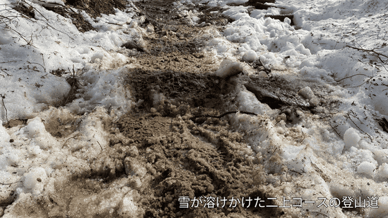 ぬかるんだ登山道